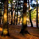 계절그리기 이미지