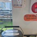 왈왈식당 | 왈왈랜드 시청본점 / 시청 애견카페 / 부산애견카페 / 부산 반려견카페