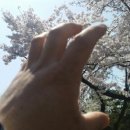 청평4리 마을회관 네이버블로그