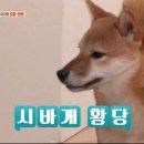월 이미지