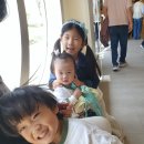 노을빛 | [부안 여행] 아이들과 산책하기 좋은 부안 줄포만 노을빛정원 후기 (수상자전거, 체험프로그램, 자전거)