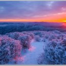 일출체육관 이미지