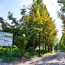 양촌랜드 이미지