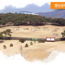 영신군 이이묘 이미지