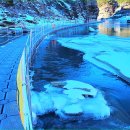 [테마2024년 1월 20일 토요일][철원 한탄강 주상절리 잔도길 & 한탄강 물윗길트레킹안내 이미지