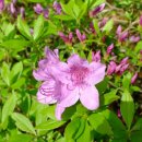 김포웰의원 이미지