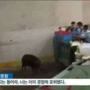 포비PC방 이미지