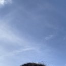 서초중앙로 63-8 이미지