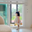 제주조우아 조수 이미지