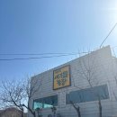 노동리 | 강릉 가볼만한곳!대관령 아기동물농장 솔직 후기! 동물들과 교감할 수 있는 힐링 명소 🐑🐰