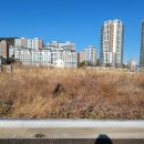 반곡동_국책연구단지남측 BRT2(집현동방향) | 세종 집현동 단독택지 매물 소개 KDI 국책연구단지 세종터미널 KTX 오송역