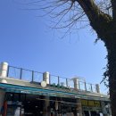 죽녹원 | 담양 대통밥 맛집 - 가성비도 맛도 좋은 죽녹원첫집식당 후기