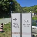 [경기 광주] 화담숲 방문 후기 (5月 방문)