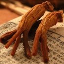 고려홍삼세계
