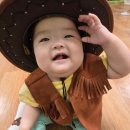 감꽃향흩날리는 이미지