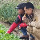 흥농(주)농업회사법인 이미지