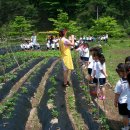 한양농장 이미지