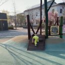 어린왕자어린이집 | 평택 아기랑 꽃구경 평택시농업생태원 튤립 개화현황 놀이터 추천해요