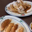 하쿠애견샵 | 2025_8월 수원