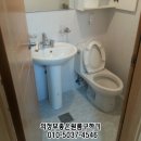 그레이스텔 이미지