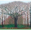 더 큰나무 이미지