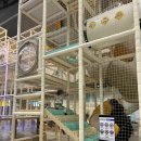 일산북쪽화장실 | 내돈내산ㅣ아이와 함께 챔피온 1250 일산점 다녀 온 후기