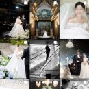 오블리비아떼 이미지