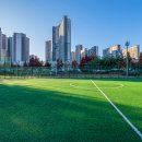 도안문화공원풋살장 이미지