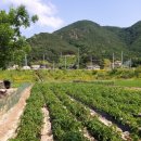 율리경로당 이미지