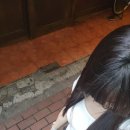 에이치쿤스트