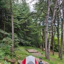 쌍우물로104번길 4 | 경기 남양주 축령산자연휴양림 야영장 104번 사이트 이용기(MSR2인용텐트)