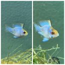 (주)성미골 | 2022년 5월 한 달 정산하기