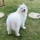 멍펜션11 이미지
