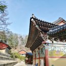 풍경소리 이미지