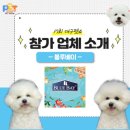 너애개만 이미지