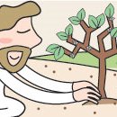 겨자씨이야기 이미지