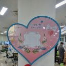 경기도 안양시 만안구청 앞 이미지