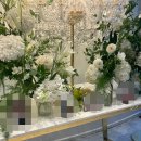 선인스크린 | 하객후기｜건대 웨딩홀 까사그랑데 센트로