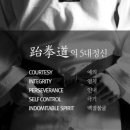 킴스태권도 이미지