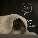프라임피시방 | [데일리룩] 3월 2주차 Daily Look ~ 개강한 복학생을 곁들인 .. 아직 19는 화석 아니라고 해줘ㅋ