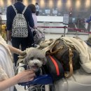 행운캔넬 이미지