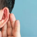 귀가편안한세상 이미지