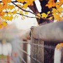 소소한이야기 이미지