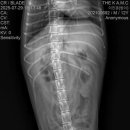 더케이 동물병원 이미지