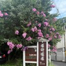 설국펜션 이미지