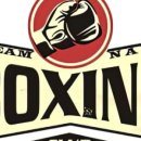 팀남복싱 이미지