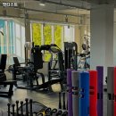 핏티스트 이미지