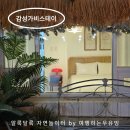 가평 감성 가비 스테이 | 감성가비스테이 가평, 크리스마스 독채 여행 숙소로 딱이에요!