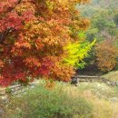 사인암식당 이미지