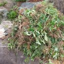 마음연구소민박 이미지